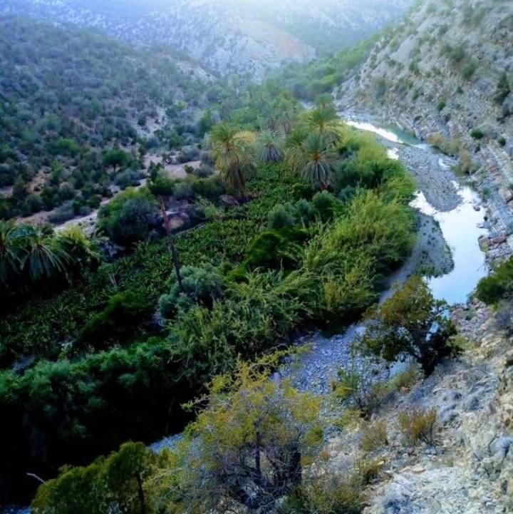 Tamrisurfcamp Διαμέρισμα Εξωτερικό φωτογραφία
